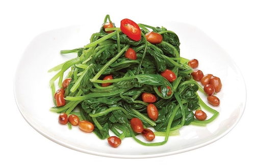 廈門工廠團膳配送與婚慶禮儀服務 欣泰德食堂的一站式解決方案